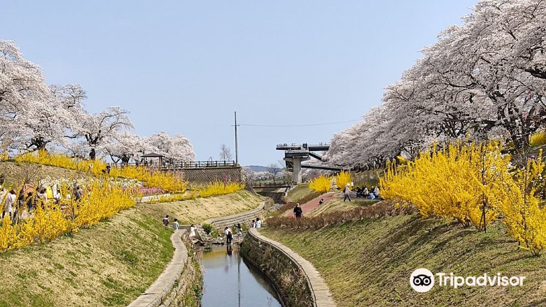 Shibata Senokyo Bridge旅游景点图片