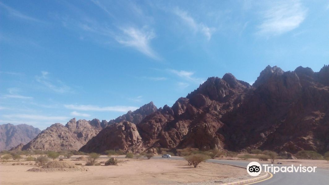 Wadi e Jinn - Al Baida旅游景点图片