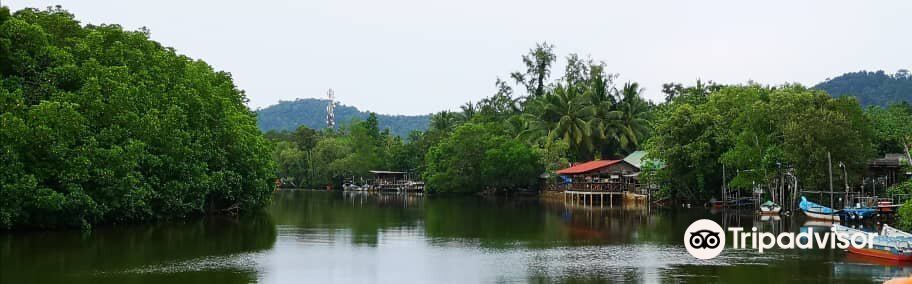 Cherating River旅游景点图片