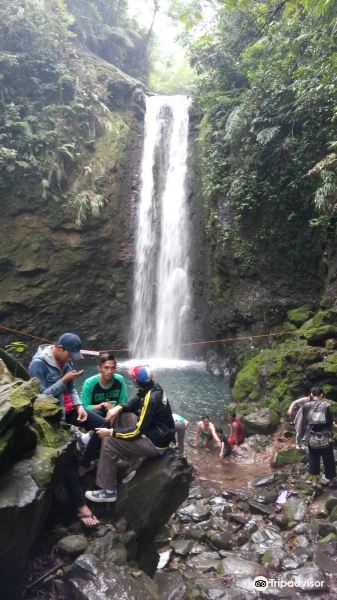 Halimun Salak National Park旅游景点图片