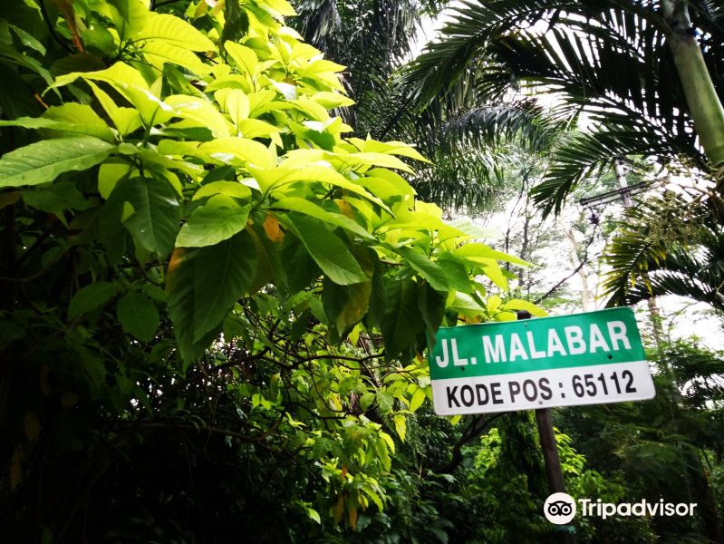 City Forest of Malabar旅游景点图片