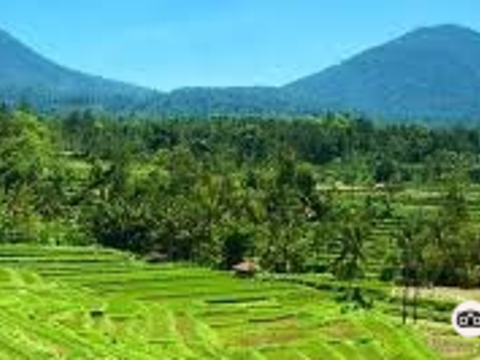 Bali Camping旅游景点图片