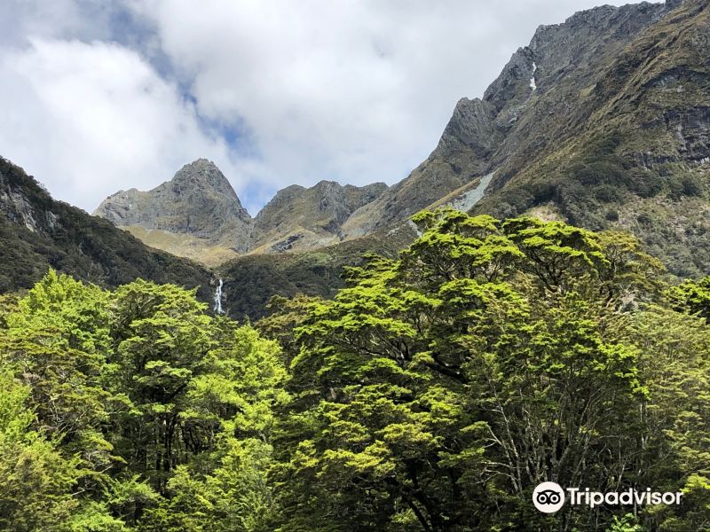 Routeburn Track 1 Day Hiking旅游景点图片