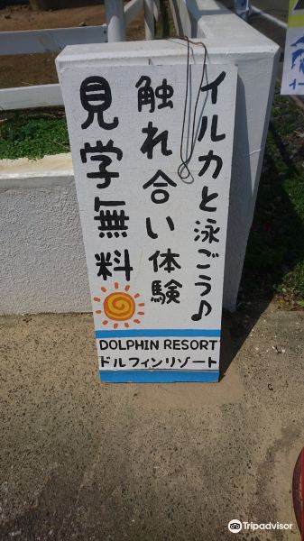 Dolphin Resort旅游景点图片