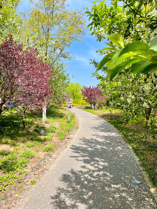 南堤滨海步道公园