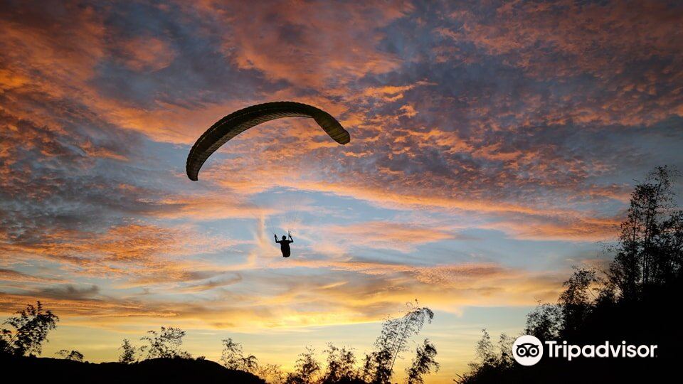 High 5 Paragliding旅游景点图片