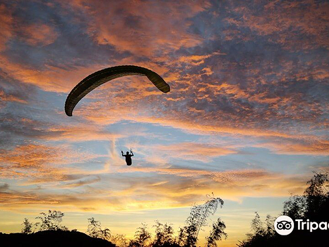 High 5 Paragliding的图片