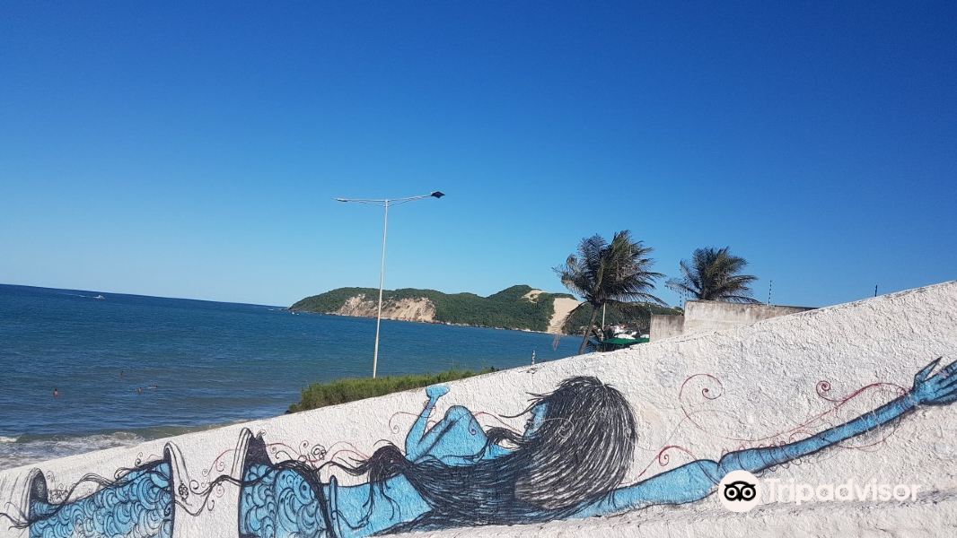 Morro do Careca beach旅游景点图片