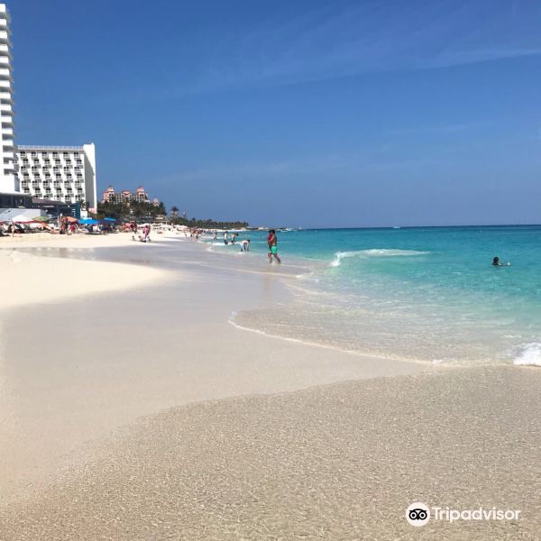 Paradise Beach旅游景点图片