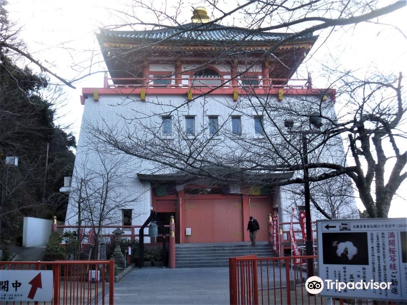 纪三井寺 新仏殿旅游景点图片