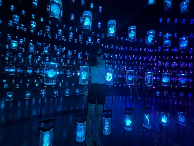 迪拜未来博物馆