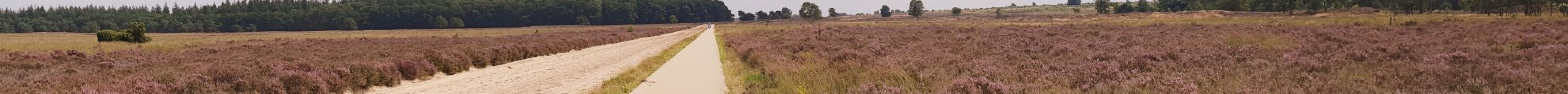 Veluwe Specialist Otterlo