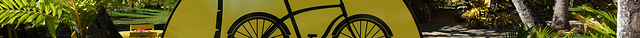 Bula Bikes