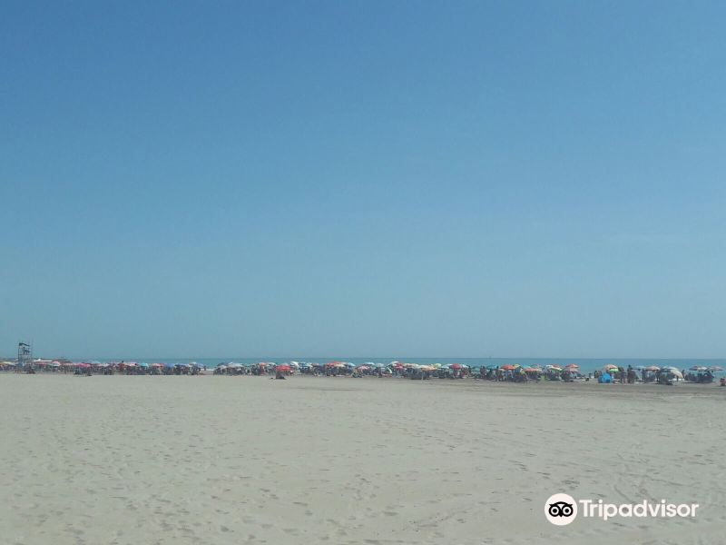 Playa de Puerto de Sagunto旅游景点图片