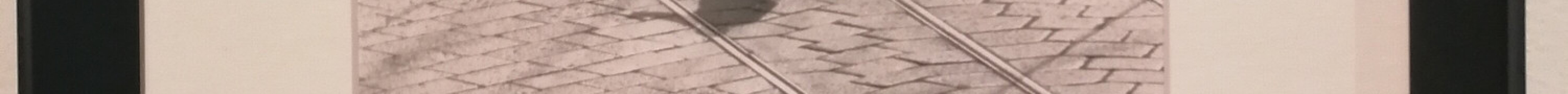 Museo Diocesano旅游景点图片