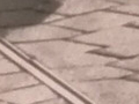 Museo Diocesano的图片