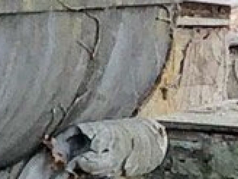 Cimitero Ebraico的图片