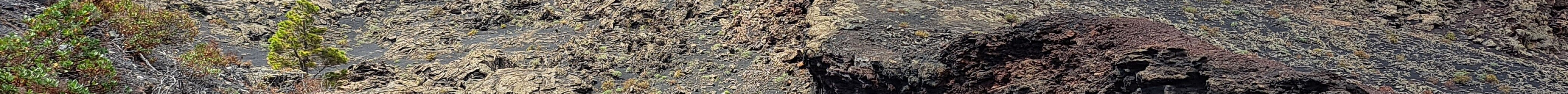 Volcan Teneguia旅游景点图片
