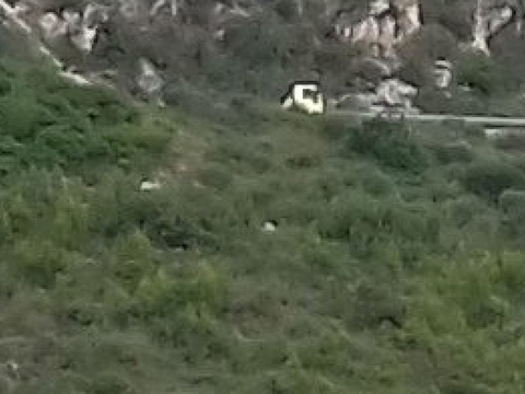 普莱特旅游图片