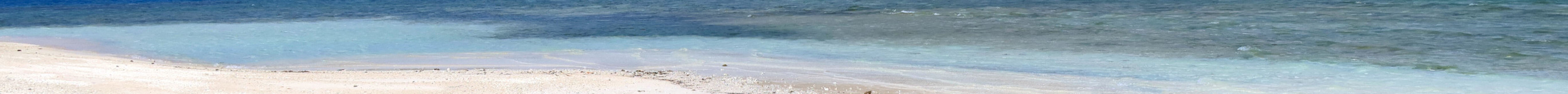Gili Kedis