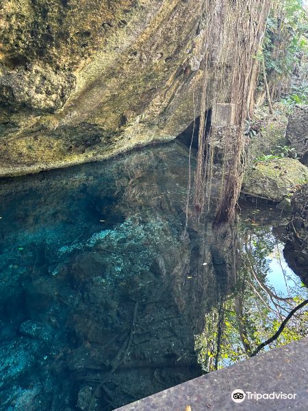 Cenote Nohoch Nah Chich旅游景点图片