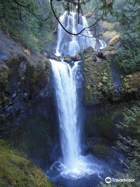 Falls Creek Falls旅游景点图片