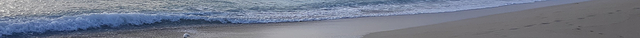 Rum Bus Beach