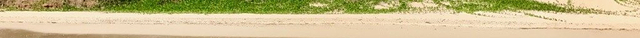 Rum Bus Beach