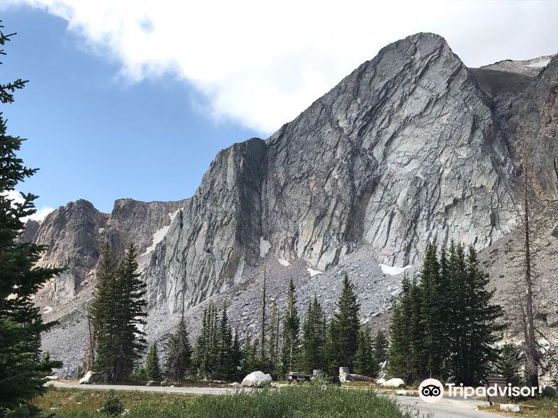 Medicine Bow National Forest旅游景点图片