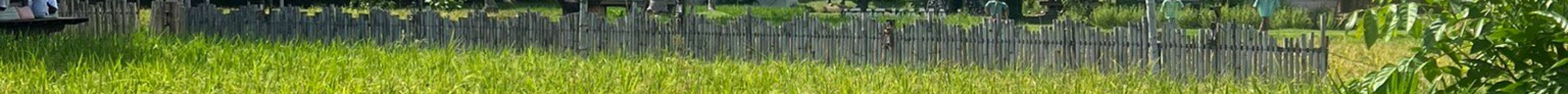 稻米博物馆旅游景点图片