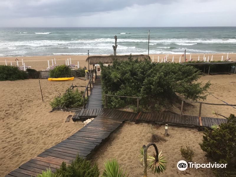 La Spiaggia di Sabaudia旅游景点图片