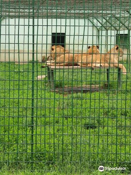 Zoo Parc Calarasi旅游景点图片