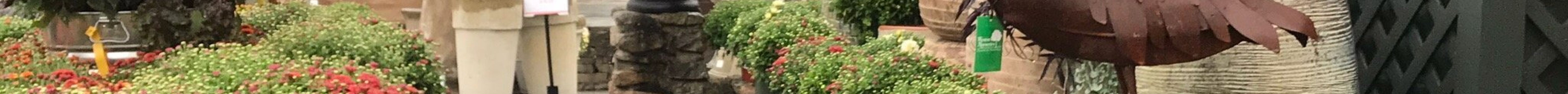 Weston Nurseries旅游景点图片