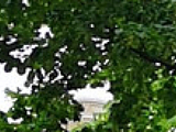 Stadtpfarrkirche Bad Voslau