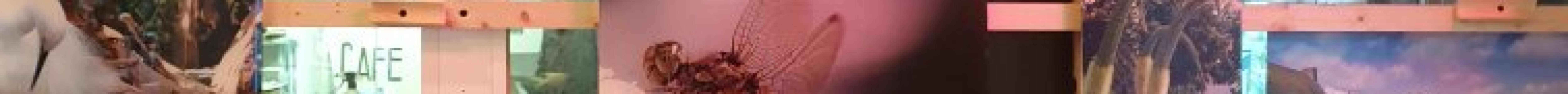 The Community Workshop and Cafe