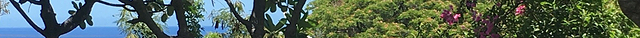 Pua Mau Place Arboretum & Botanical Garden