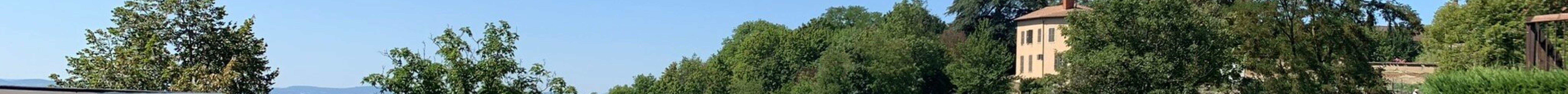 里昂高卢罗马博物馆旅游景点图片