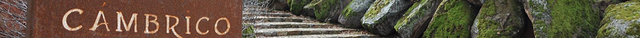 Cambrico