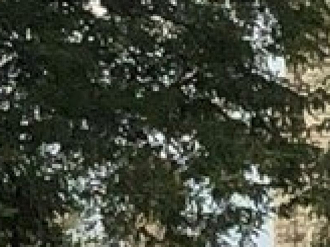 西北大学