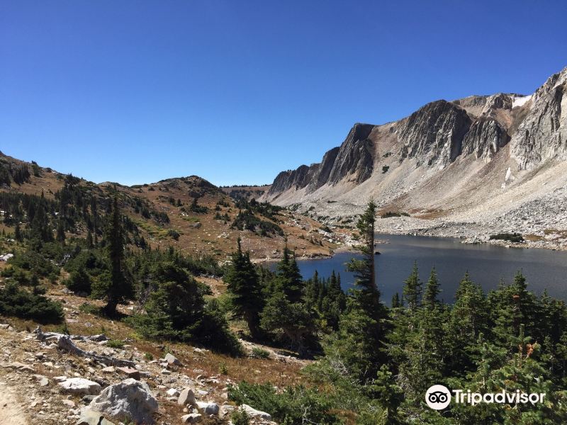 Medicine Bow National Forest旅游景点图片