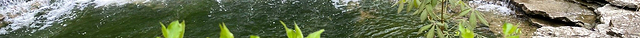 Hueston Woods State Park