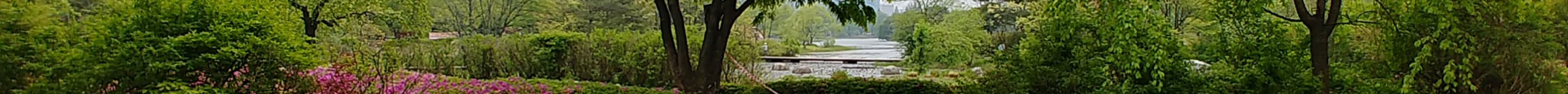 一山湖水公园旅游景点图片