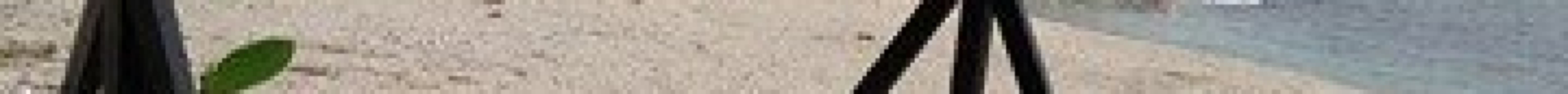 Mabuhay Thresher Dive Center