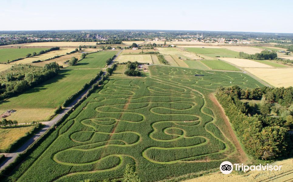 Labyrinthe en Délire旅游景点图片