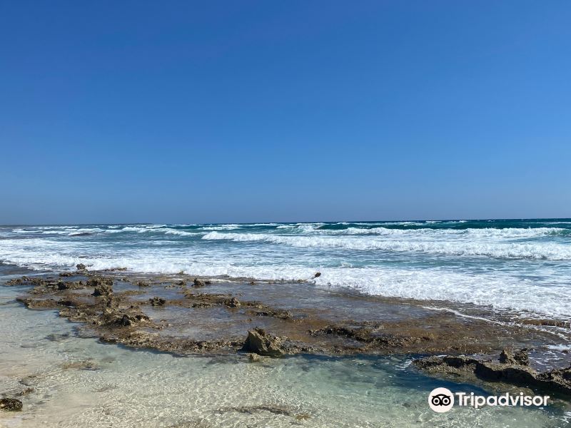 Playa Mezcalitos旅游景点图片