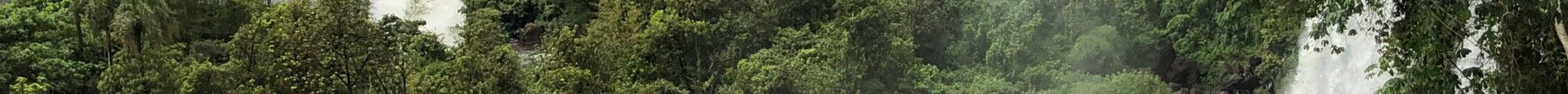 伊瓜苏瀑布