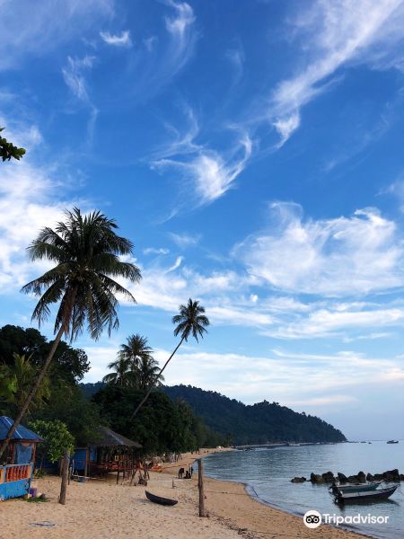 Bayu Dive Center Tioman