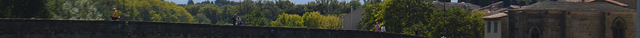 Le Pont Vieux (The Old Bridge)