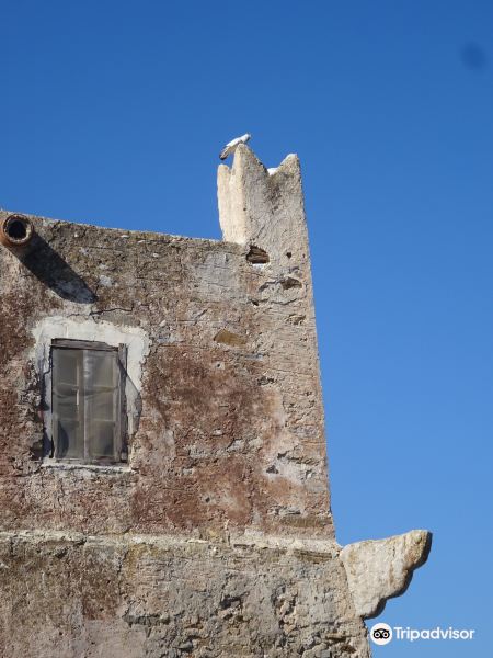 Fragopoulos Della Rocca Tower旅游景点图片