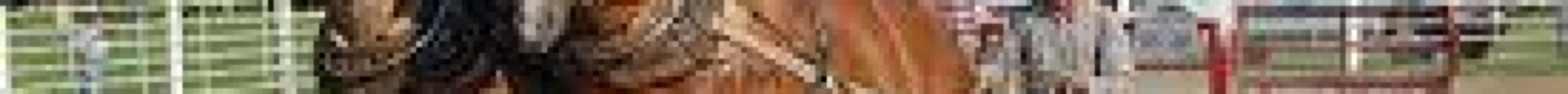 Midwest Old Threshers - Business Office, Reunion & Heritage Museums